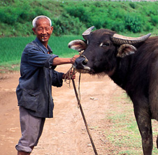 小型飼料顆粒機(jī),農(nóng)民圓夢！