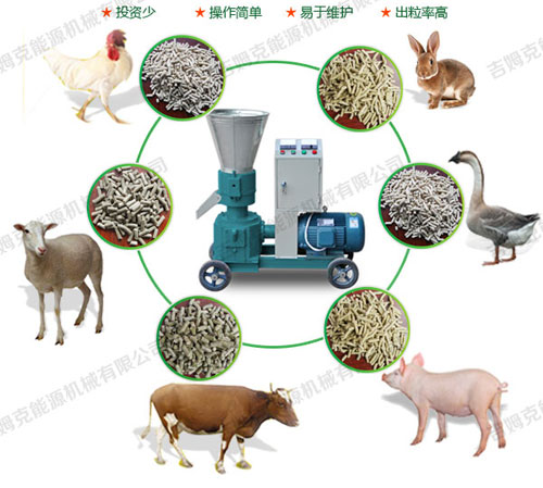 鴿子飼料顆粒機壓制顆粒飼料